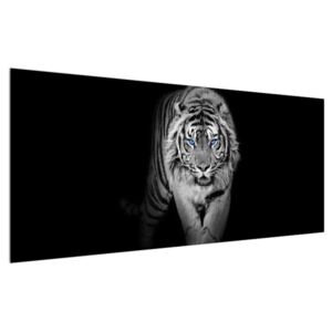 Tablou cu tigru (Modern tablou, K014968K12050)