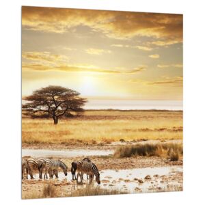 Tablou cu savana și zebre (Modern tablou, K011346K3030)