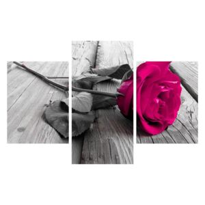 Tablou cu trandafirul roz (K011141K90603PCS)
