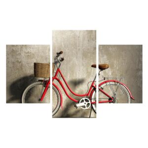 Tablou cu bicicletă (K011219K90603PCS)