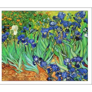 Irises, 1889 Reproducere, Vincent van Gogh, (80 x 60 cm)