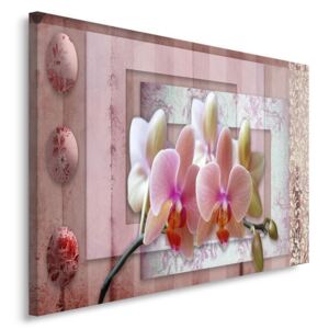 CARO Tablou pe pânză - Pink Orchid 40x30 cm