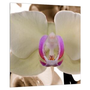 Tabllou cu orhidee (Modern tablou, K010754K3030)