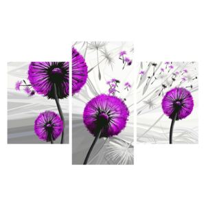 Tablou modern cu păpădii violete (K015122K90603PCS)