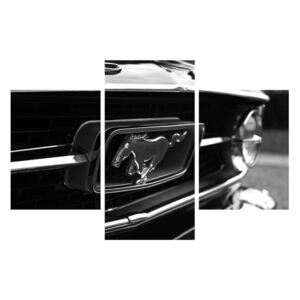 Tablou detailat cu mașina Mustang (K010943K90603PCS)