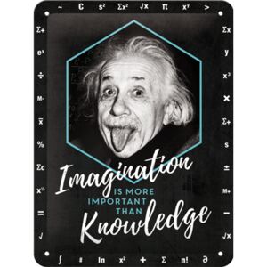 Nostalgic Art Placă metalică: Einstein (Imagination & Knowledge) - 20x15 cm