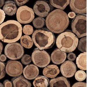 Buvu Tapete de vinil bușteni din lemn