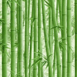 Buvu Tapete de vinil bambus