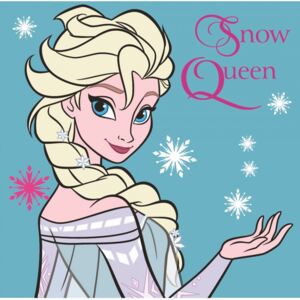 Perna Frozen Elsa 35x35 cm