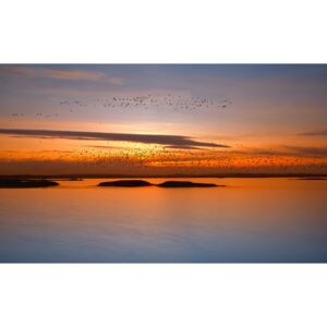 Fotografii artistice by sunset, Piotr Krol (Bax)