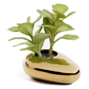 Planta artificiala cu ghiveci din ceramica 15 cm Succulent La Forma