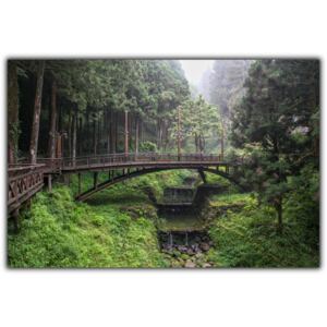 Tablou modern pe panou - forest wood bridge