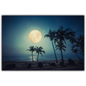 Tablou modern pe panou - full moon tropical beach