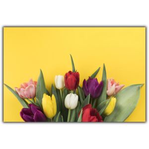 Tablou modern pe panou - muchos tulipanes