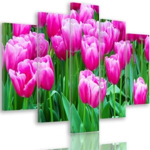 CARO Tablou pe pânză - Pink Tulips 1 100x70 cm