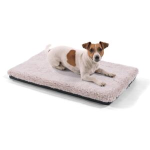 Brunolie Luna, pat pentru câine, pernă pentru câine, lavabil, ortopedic, antiderapant, spumă cu memorie, dimensiunea S (60 x 5 x 40 cm)