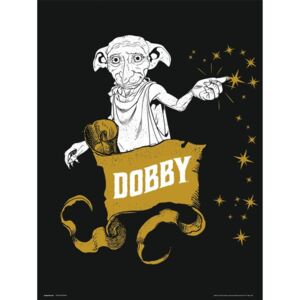 Harry Potter - Dobby Reproducere, (30 x 40 cm)