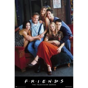 Friends - Characters Poster, (61 x 91,5 cm)