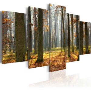 Tablou - A Nice Forest Landscape 100x50 cm
