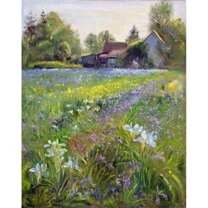 Dwarf Irises and Cottage, 1993 Reproducere, Timothy Easton