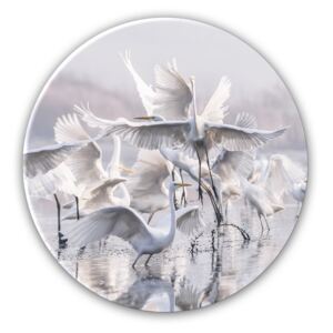 Styler Imagine din sticlă rotundă - Herons