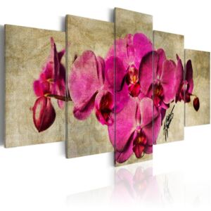 Tablou - Orchids on canvas - 5 pieces 100x50 cm