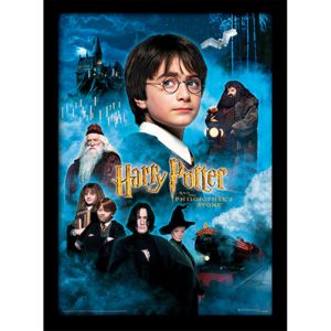 Harry Potter - Philosophers Stone Afiș înrămat