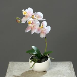 Orhidee artificiala alb-roz in ghiveci ceramic - 25 cm