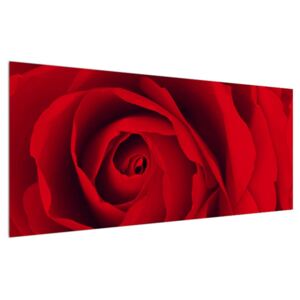 Tablou cu trandafir (Modern tablou, K012211K12050)