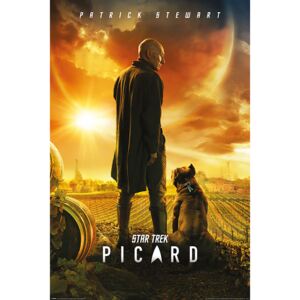 Poster Star Trek: Picard - Picard Number One, (61 x 91.5 cm)
