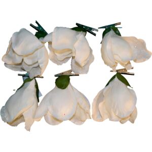 Set 6 magnolii decorative