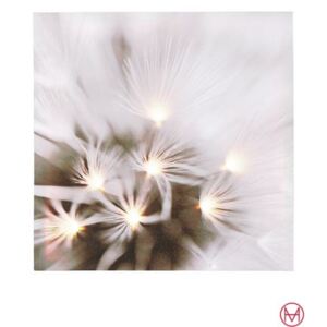 Tablou cu print digital si led 40/40 cm