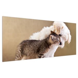 Tablou câinele cu pisica (Modern tablou, K011215K12050)