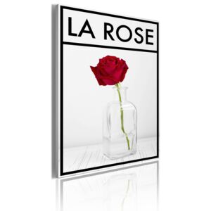 Bimago Tablou - La rose 50x70