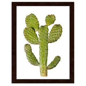 CARO Imagine în cadru - Green Cactus 30x40 cm Maro