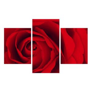 Tablou cu trandafir (K012211K90603PCS)