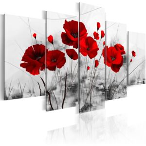 Bimago Tablou - Poppies - red miracle 100x50 cm