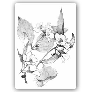 CARO Tablou metalic - Blooming Twigs 50x70 cm