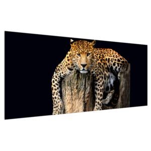 Tablou cu gepard (Modern tablou, K012344K12050)