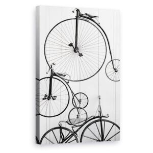 Tablou Canvas - Obiecte, Vehicul, Bicicleta, Retro
