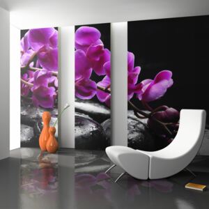 Bimago Fototapet - Relaxing moment: orchid flower and stones 200x154 cm