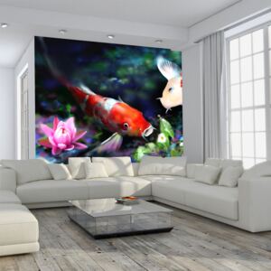 Bimago Fototapet - Underwater aquarium 200x154 cm