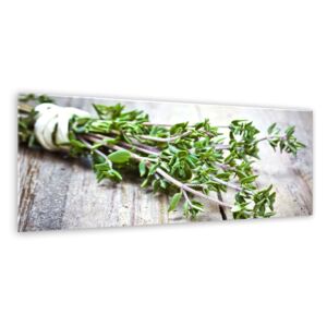 Tablou pe sticlă - Styler Green Herbs 80x30 cm