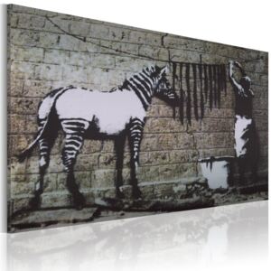 Tablou - Zebra washing (Banksy) 60x40 cm