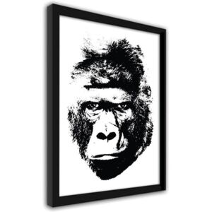 CARO Imagine în cadru - Illustration Of A Gorilla 50x70 cm Negru