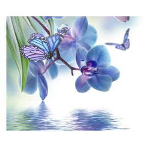 Tablou cu fluture pe floare de orhidee (K012045K9060)