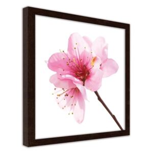 CARO Imagine în cadru - Pink Flower 3 20x20 cm Maro