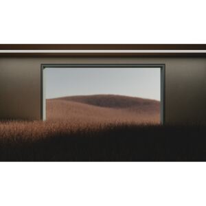 Dark room in the middle of brown cereal field series 1, (40 x 22.5 cm)