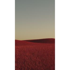 Minimal landscpases of a red grass at with a gradient sky series 1, (22.5 x 40 cm)