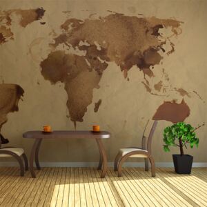 Fototapet XXL Bimago - Tea map of the World + Adeziv gratuit 450x270 cm